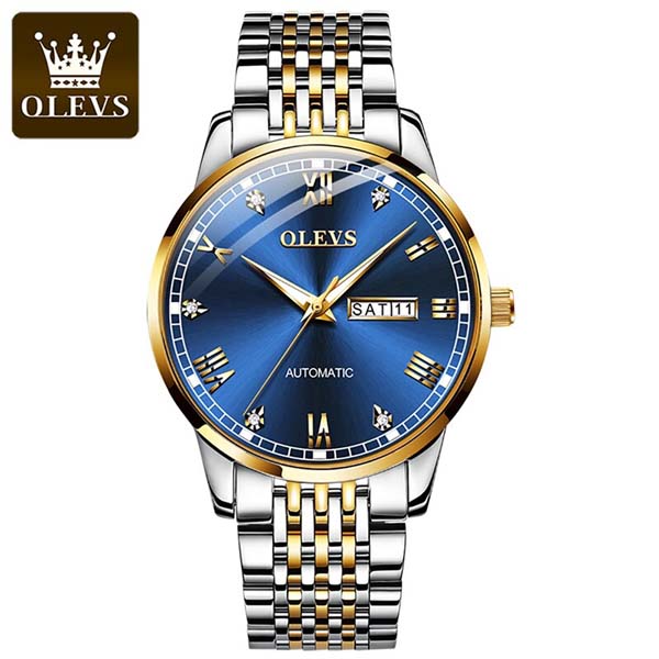 OLEVS 6602 Mechanical Luxury Watch 1