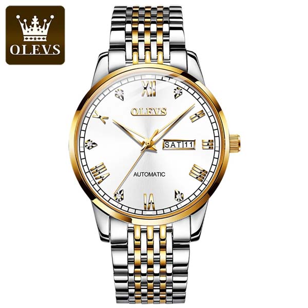 OLEVS 6602 Mechanical Luxury Watch 4